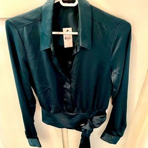 Express long sleeve, lsilk green blouse.